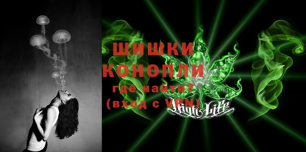 шишки Бронницы