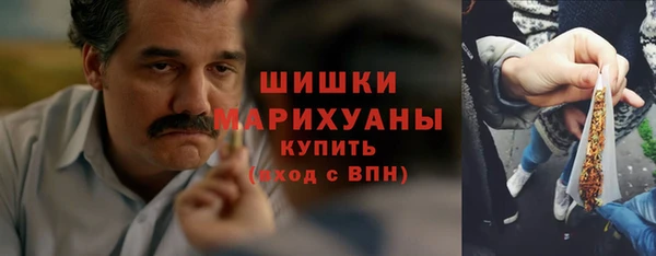 шишки Бронницы